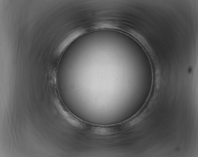 X0000116881241200912291235