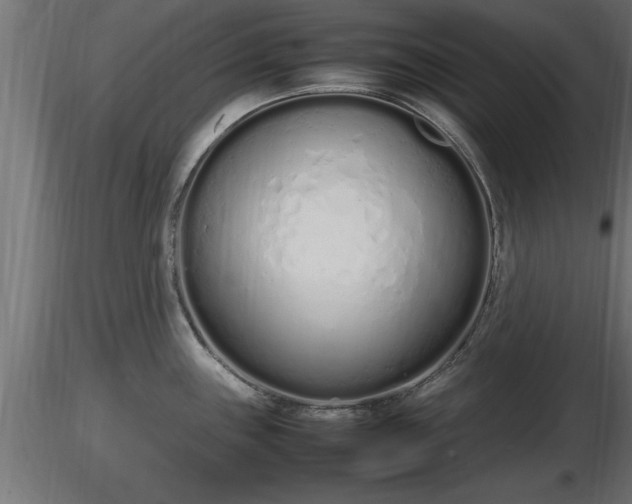 X0000116881243200912291235