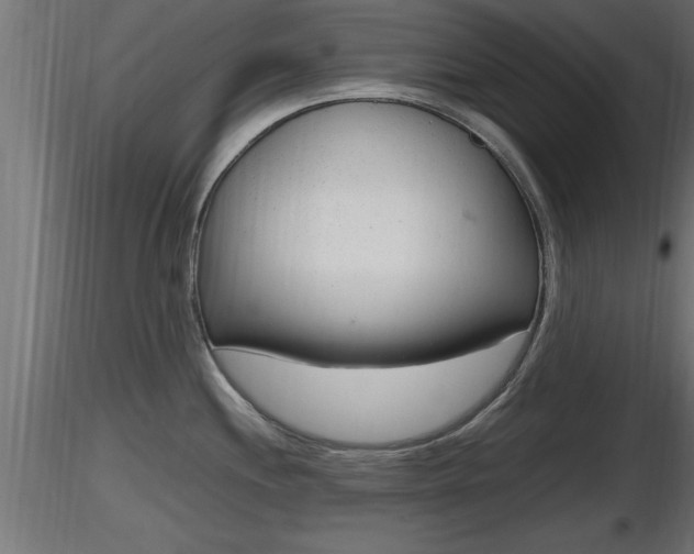 X0000116881244200912291235
