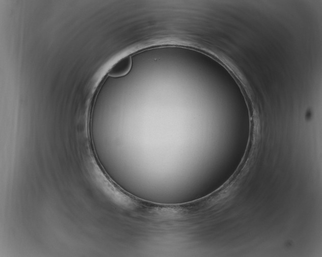 X0000116881246200912291235