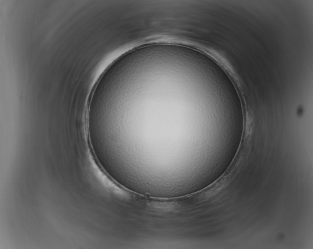 X0000116881247200912291235