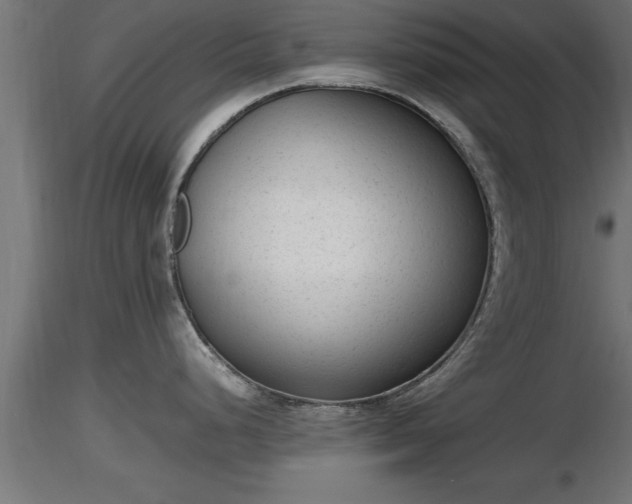 X0000116881248200912291235