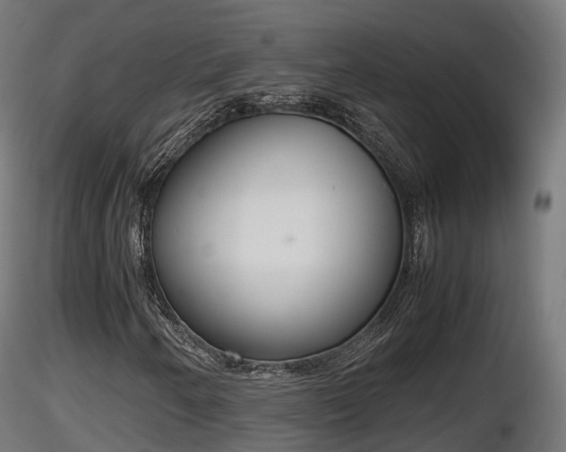 X0000116881250200912291235