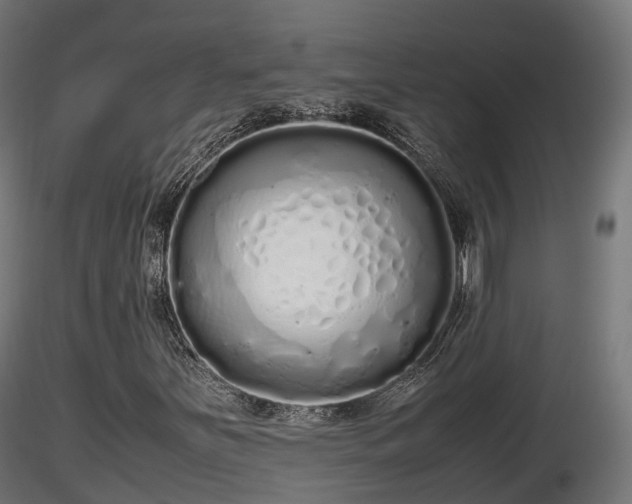 X0000116881251200912291235