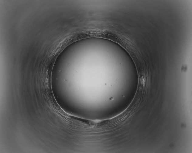 X0000116881252200912291235