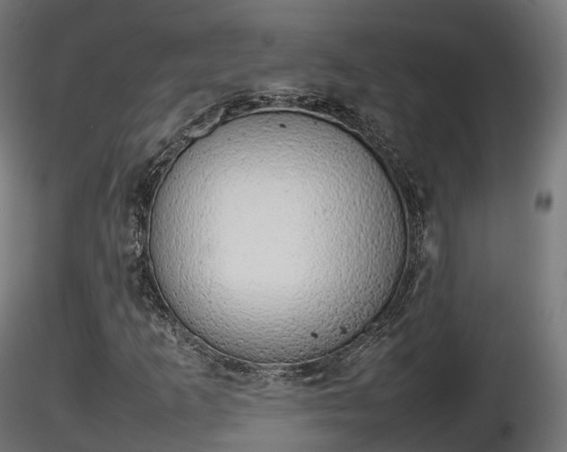 X0000116881253200912291235