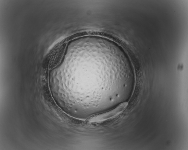 X0000116881255200912291235