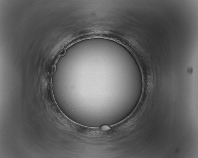 X0000116881257200912291235