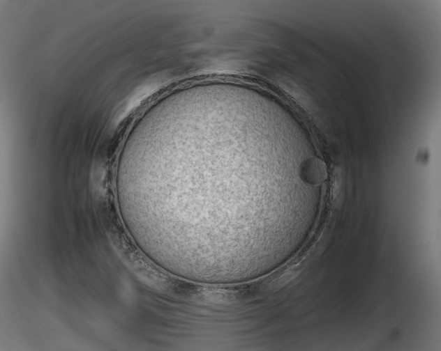 X0000116881258200912291235
