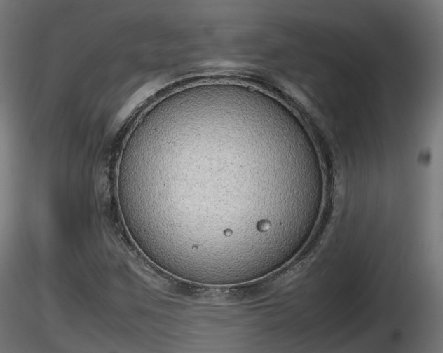 X0000116881259200912291235