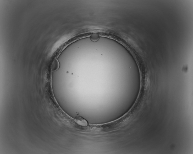 X0000116881261200912291235