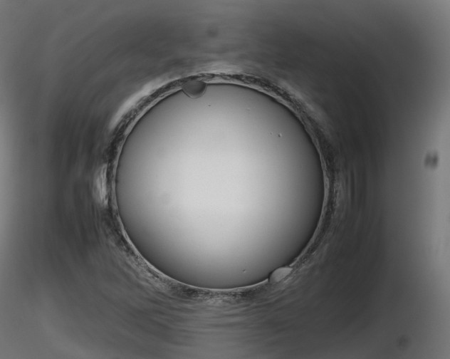 X0000116881262200912291235