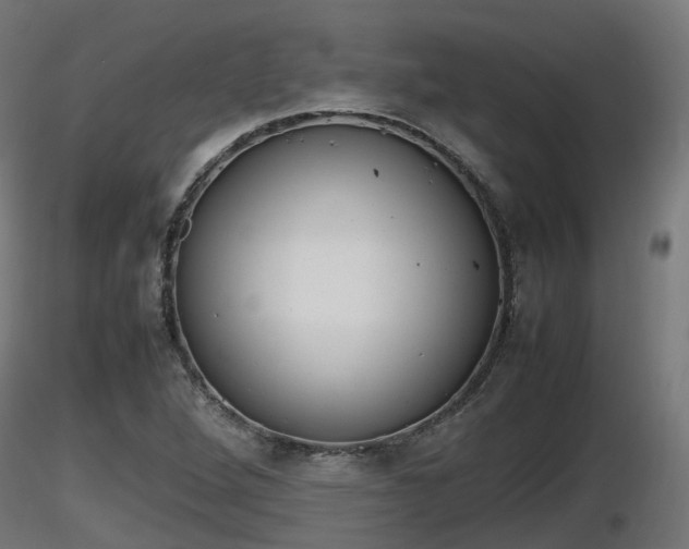 X0000116881264200912291235