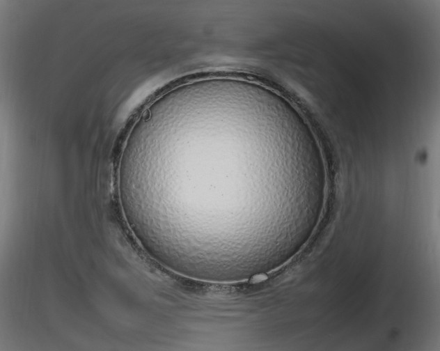 X0000116881267200912291235