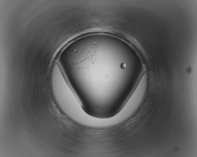 X0000116881268200912291235