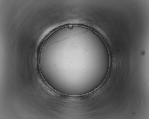 X0000116881270200912291235
