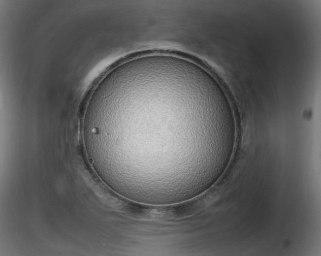 X0000116881271200912291235
