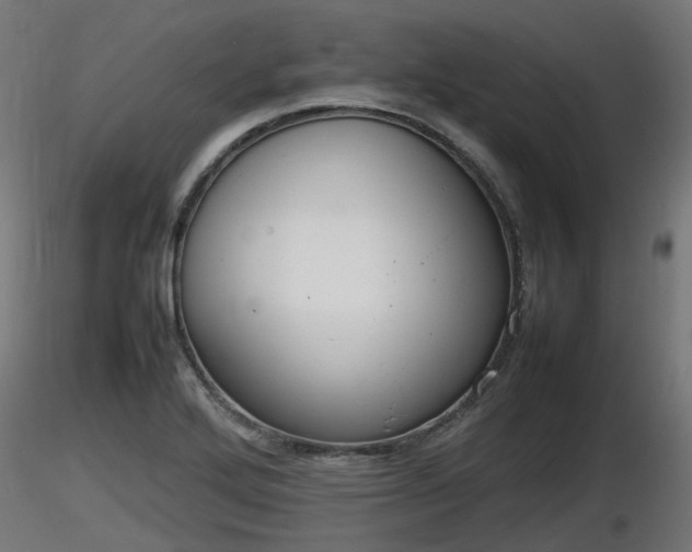 X0000116881272200912291234