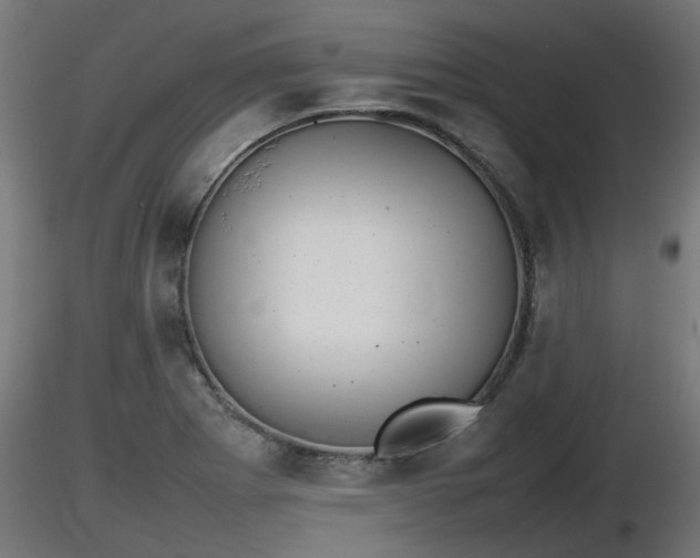X0000116881273200912291234