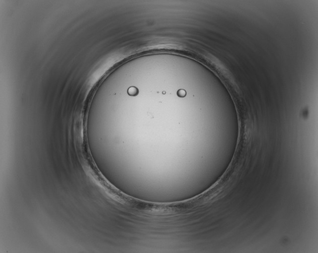 X0000116881274200912291234