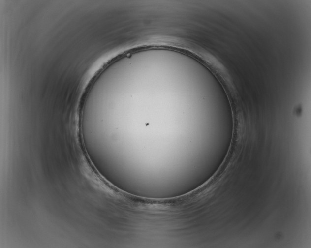 X0000116881280200912291234