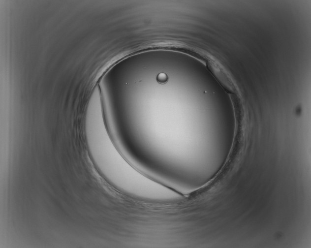 X0000116881281200912291234