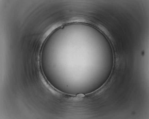 X0000116881282200912291234