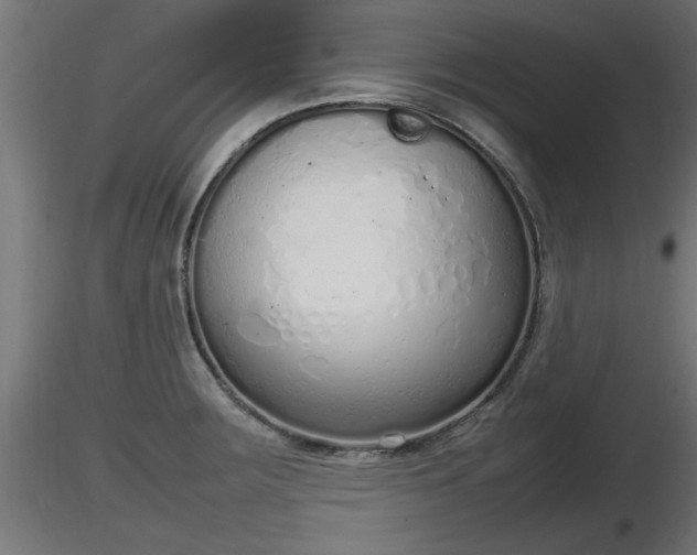 X0000116881283200912291234