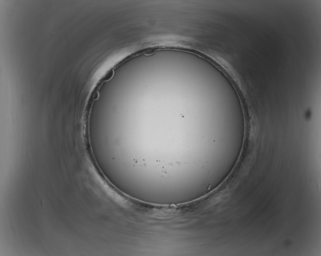 X0000116881285200912291234