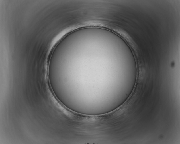 X0000116881286200912291234