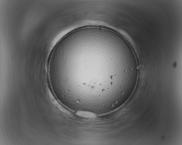 X0000116881287200912291234