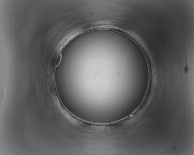 X0000116881289200912291234