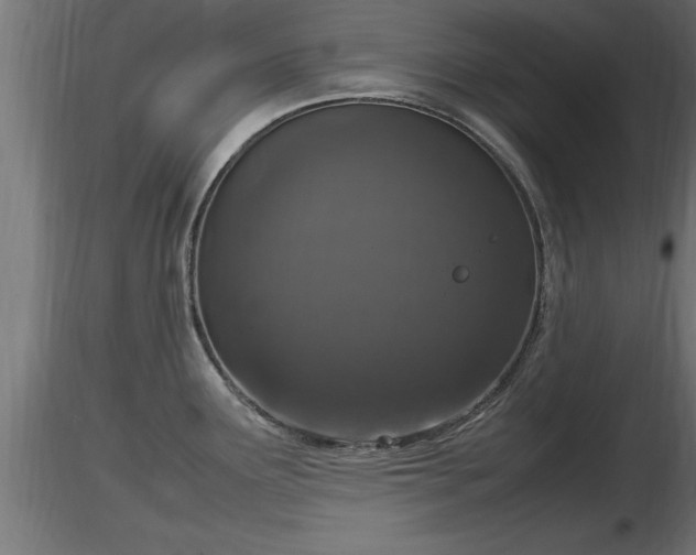 X0000116881291200912291234