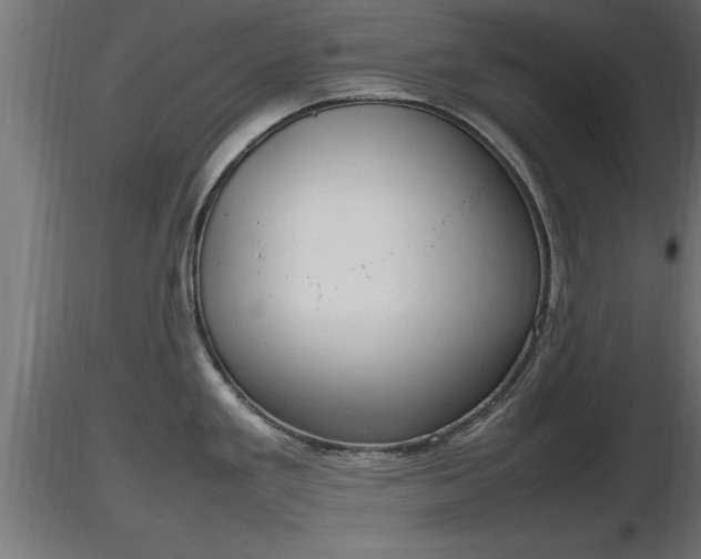 X0000116881293200912291234