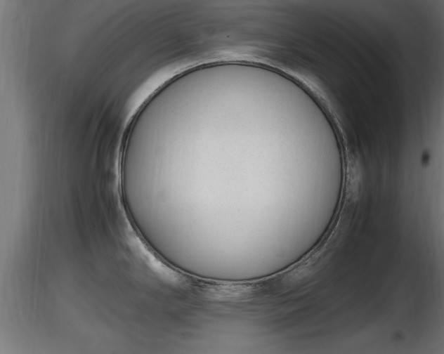 X0000116881294200912291234