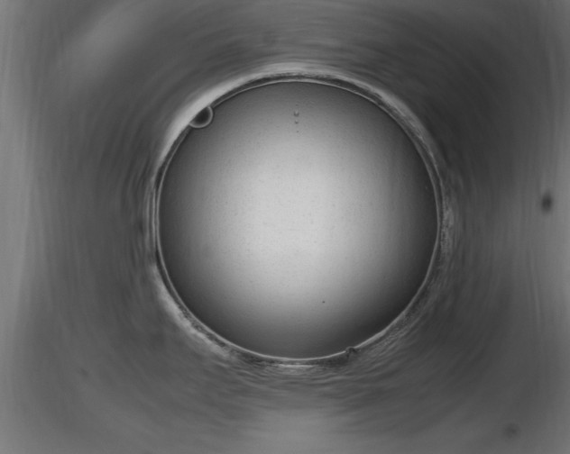 X0000116881295200912291234