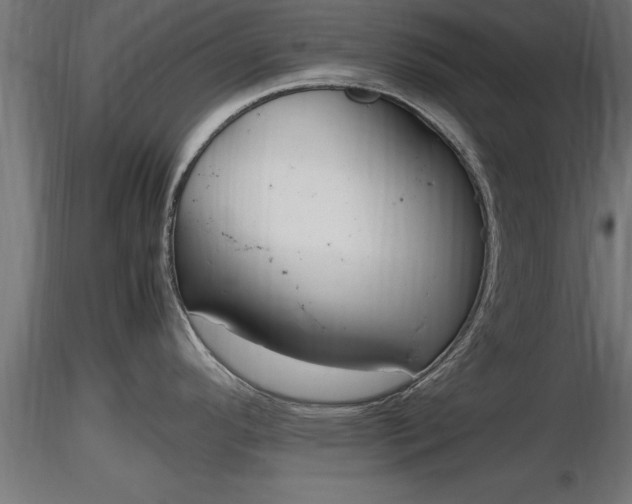 X0000116881296200912291234