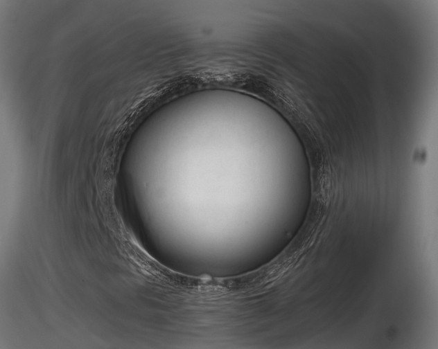 X0000116881297200912291234