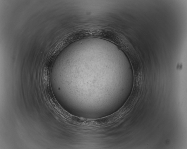 X0000116881298200912291234