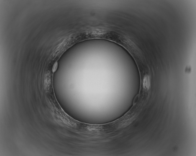 X0000116881299200912291234