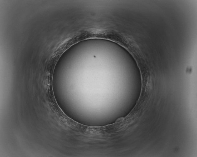 X0000116881301200912291234