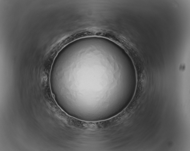X0000116881302200912291234