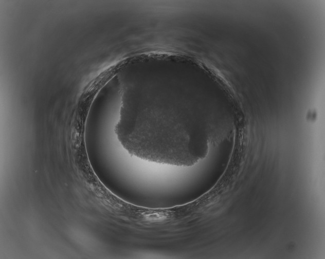 X0000116881303200912291234