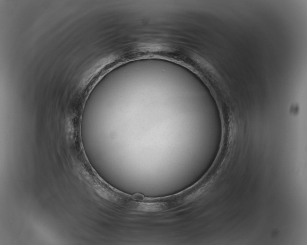X0000116881305200912291234