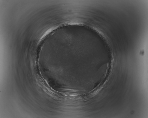 X0000116881306200912291234