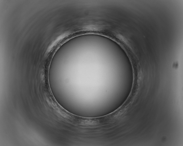 X0000116881307200912291234