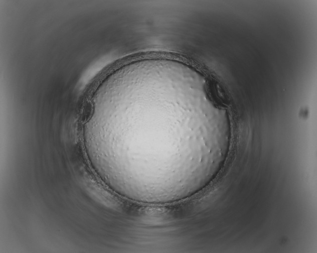 X0000116881310200912291234