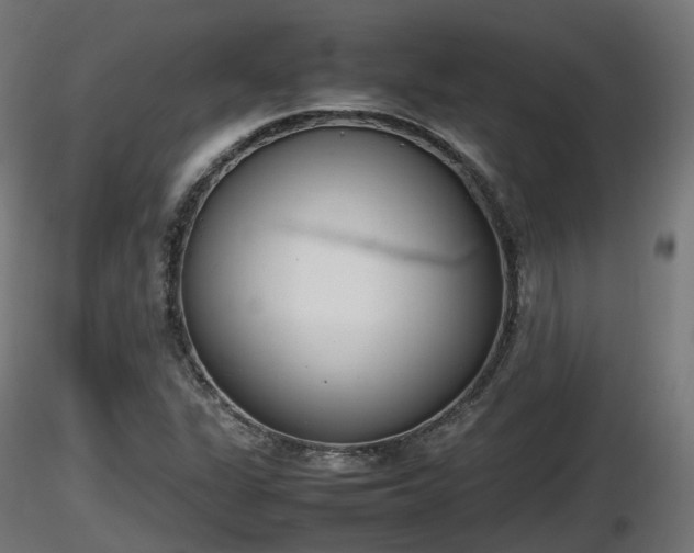 X0000116881311200912291234