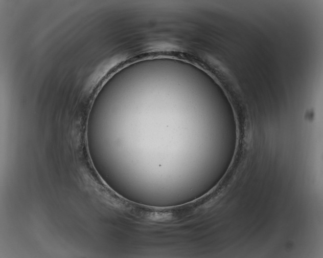 X0000116881313200912291234