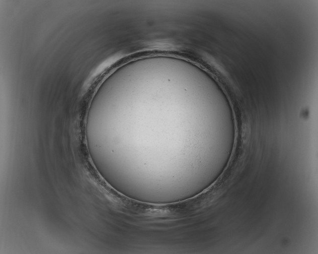 X0000116881315200912291234